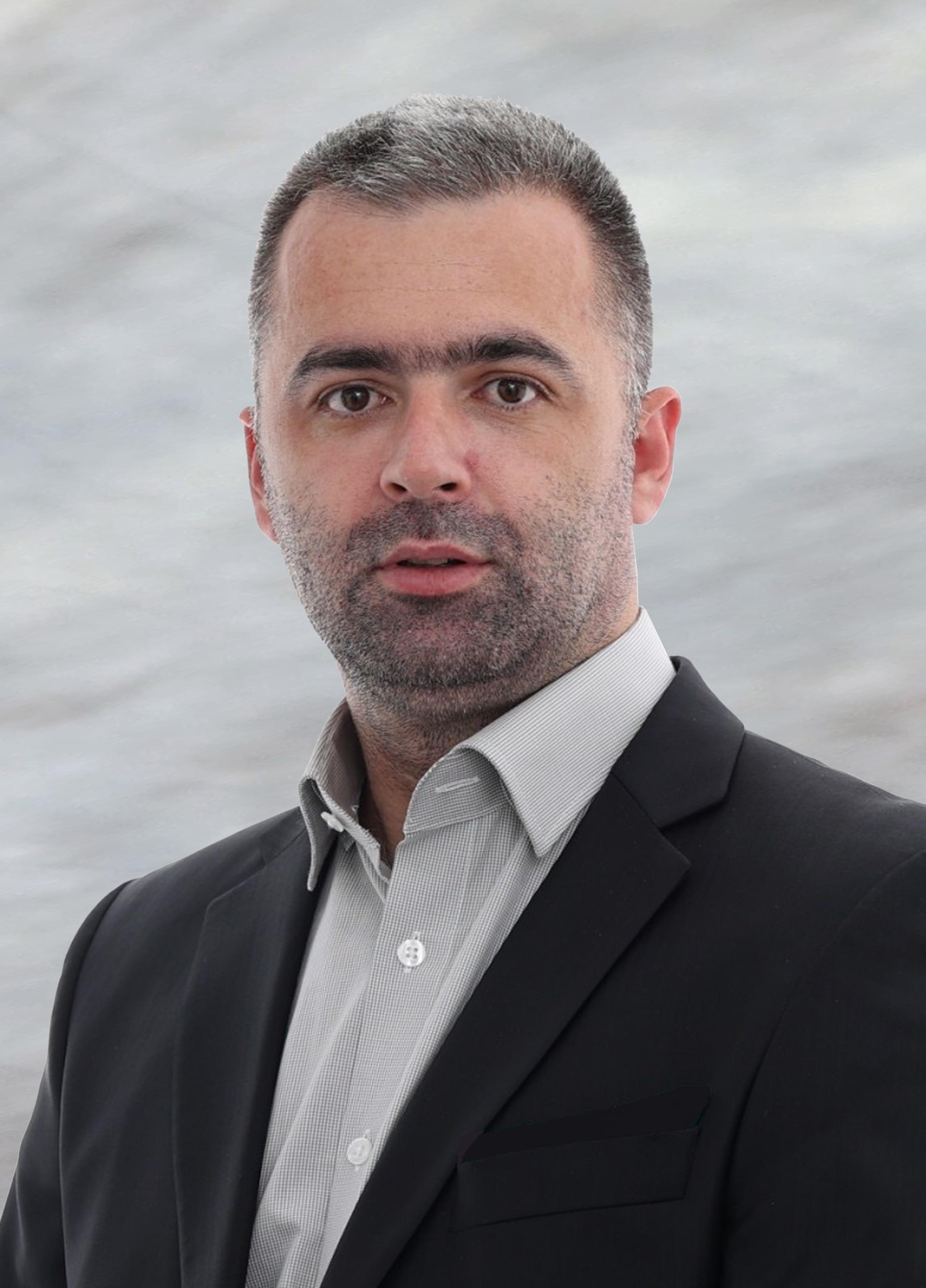 ARNES AVDIĆ